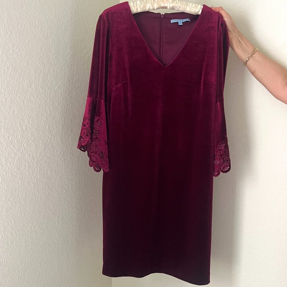 Elegant Antonio Melani Velvet Dress